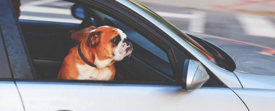 Asking Tough Questions Could Save an Older Driver’s Life